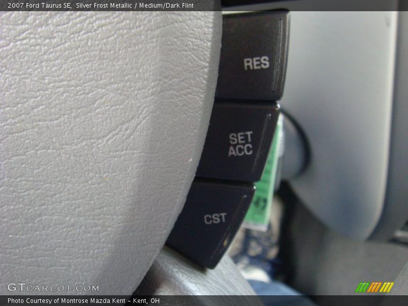 Silver Frost Metallic / Medium/Dark Flint 2007 Ford Taurus SE