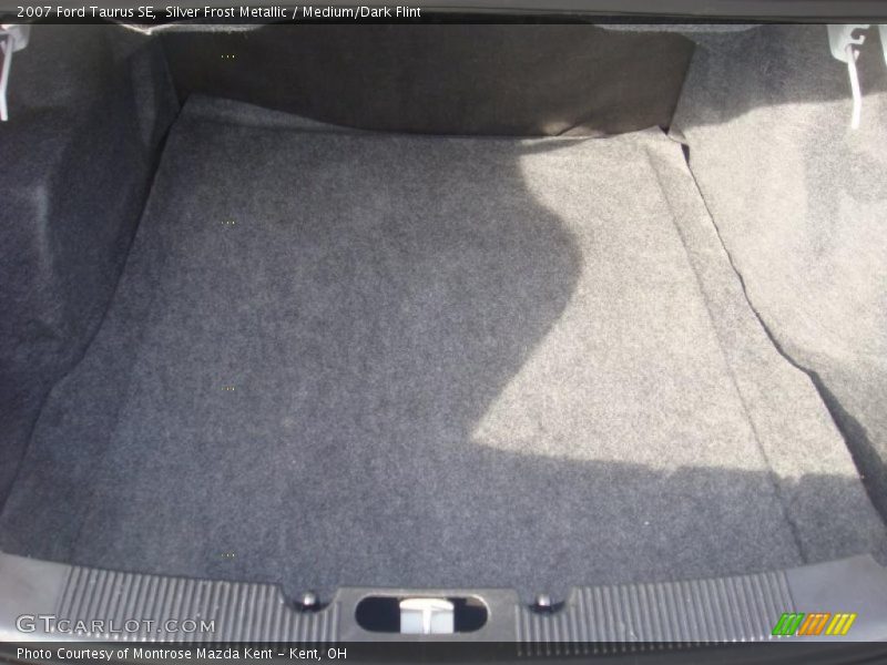 Silver Frost Metallic / Medium/Dark Flint 2007 Ford Taurus SE