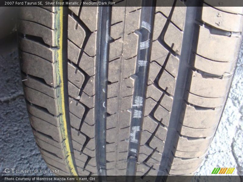 Silver Frost Metallic / Medium/Dark Flint 2007 Ford Taurus SE
