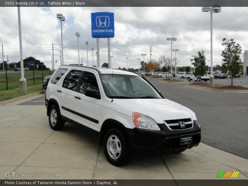 Taffeta White / Black 2003 Honda CR-V LX