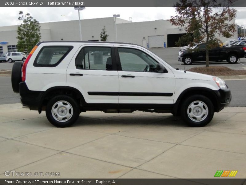  2003 CR-V LX Taffeta White