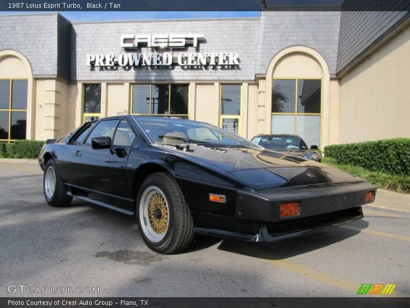 Black / Tan 1987 Lotus Esprit Turbo