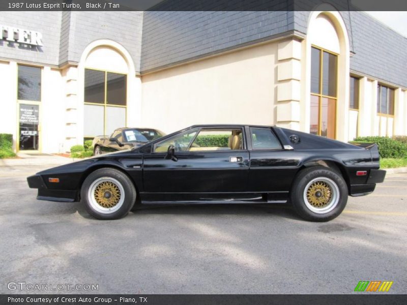  1987 Esprit Turbo Black