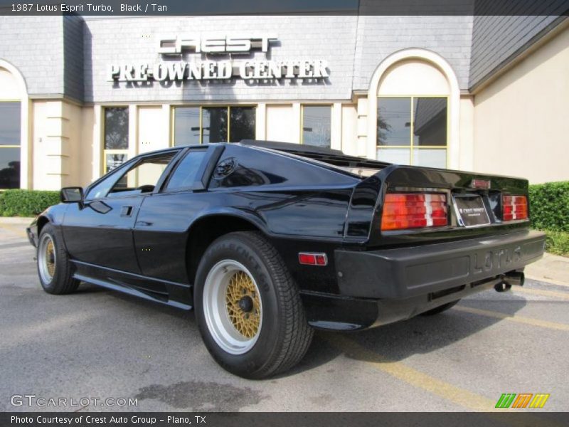 Black / Tan 1987 Lotus Esprit Turbo