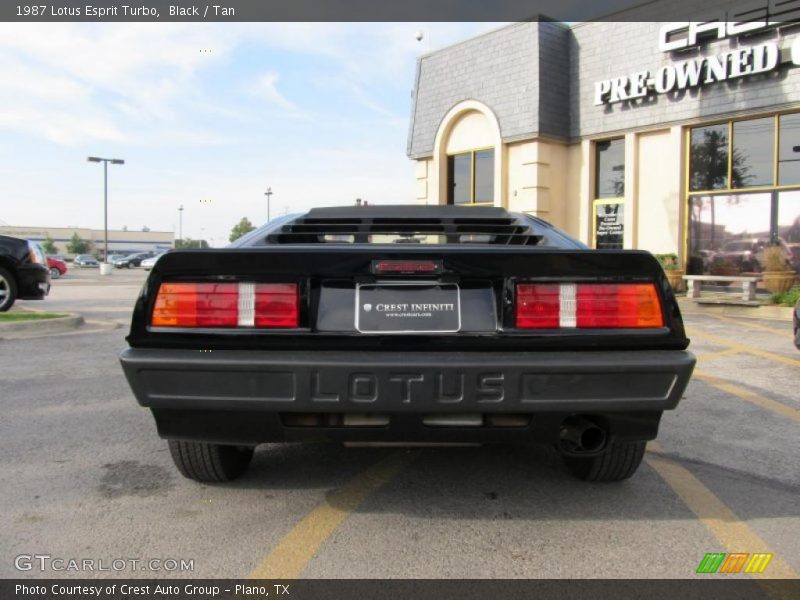 Black / Tan 1987 Lotus Esprit Turbo