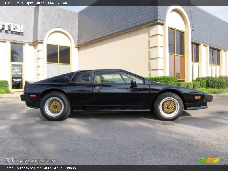 Black / Tan 1987 Lotus Esprit Turbo