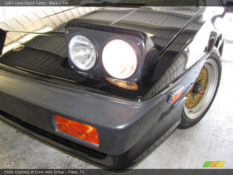 Black / Tan 1987 Lotus Esprit Turbo