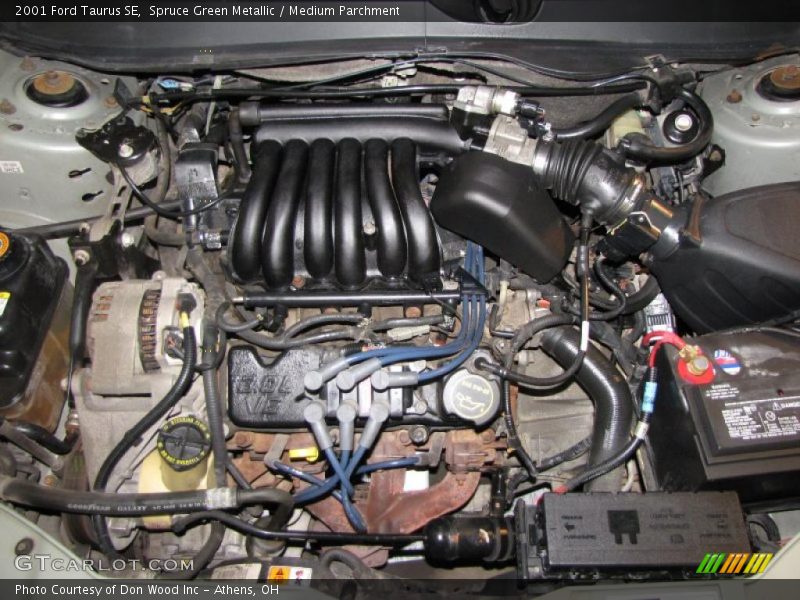 Spruce Green Metallic / Medium Parchment 2001 Ford Taurus SE