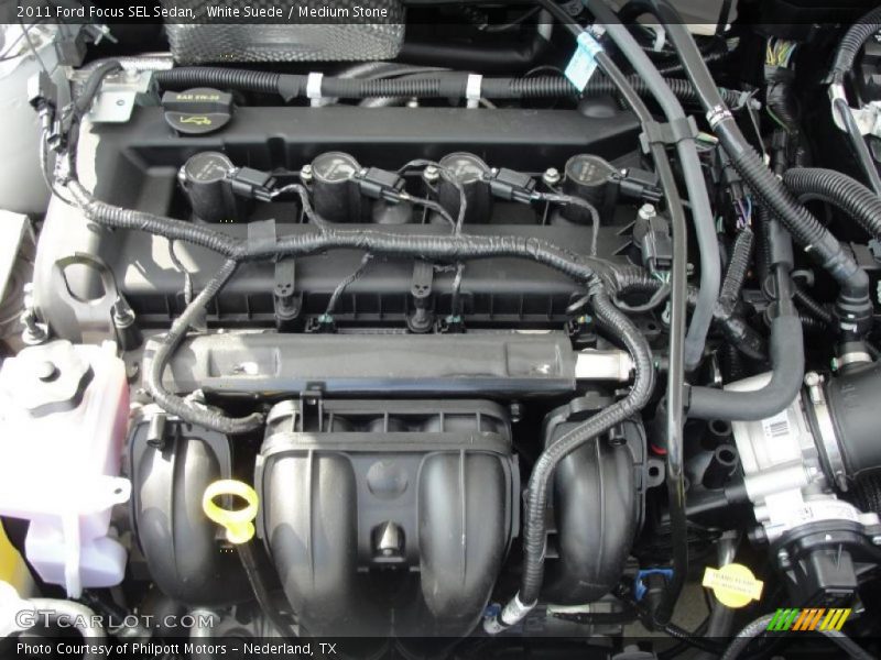 White Suede / Medium Stone 2011 Ford Focus SEL Sedan