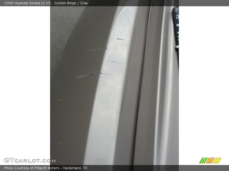 Golden Beige / Gray 2006 Hyundai Sonata LX V6