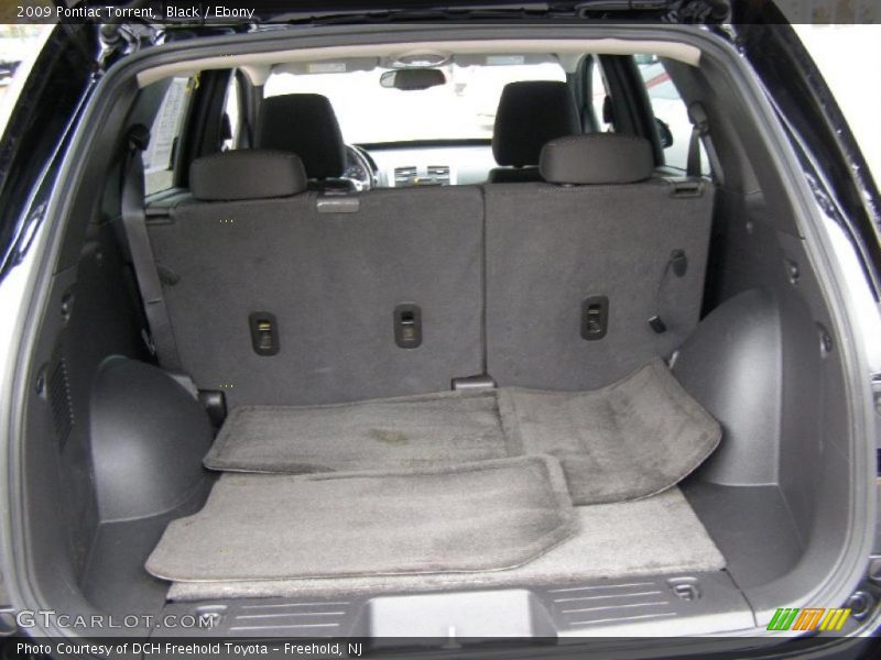  2009 Torrent  Trunk