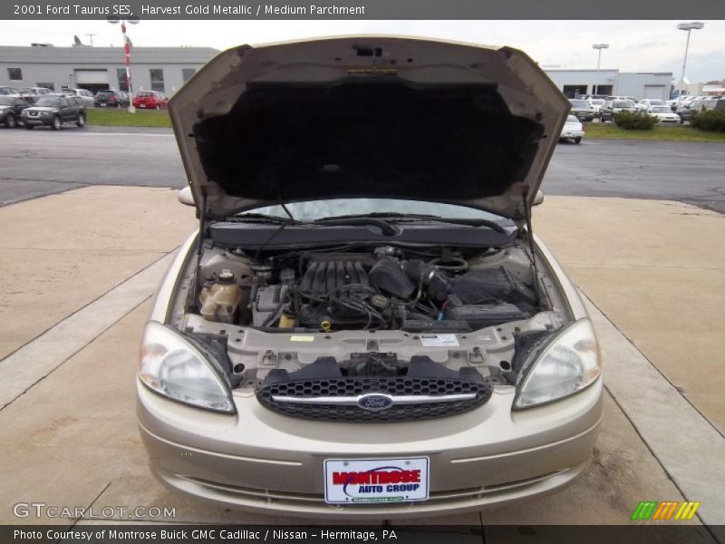 Harvest Gold Metallic / Medium Parchment 2001 Ford Taurus SES