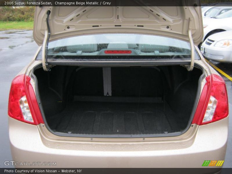 Champagne Beige Metallic / Grey 2006 Suzuki Forenza Sedan