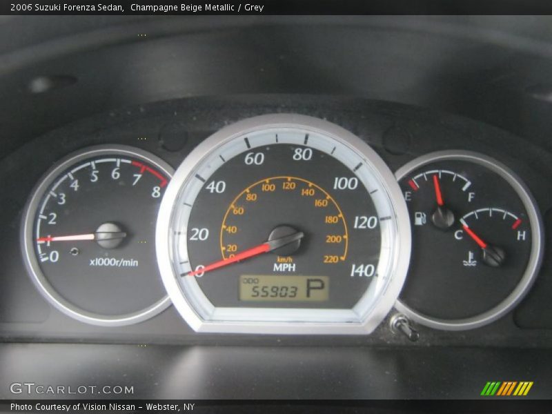 Champagne Beige Metallic / Grey 2006 Suzuki Forenza Sedan