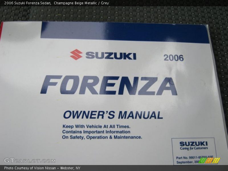 Champagne Beige Metallic / Grey 2006 Suzuki Forenza Sedan