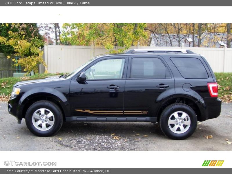 Black / Camel 2010 Ford Escape Limited V6 4WD