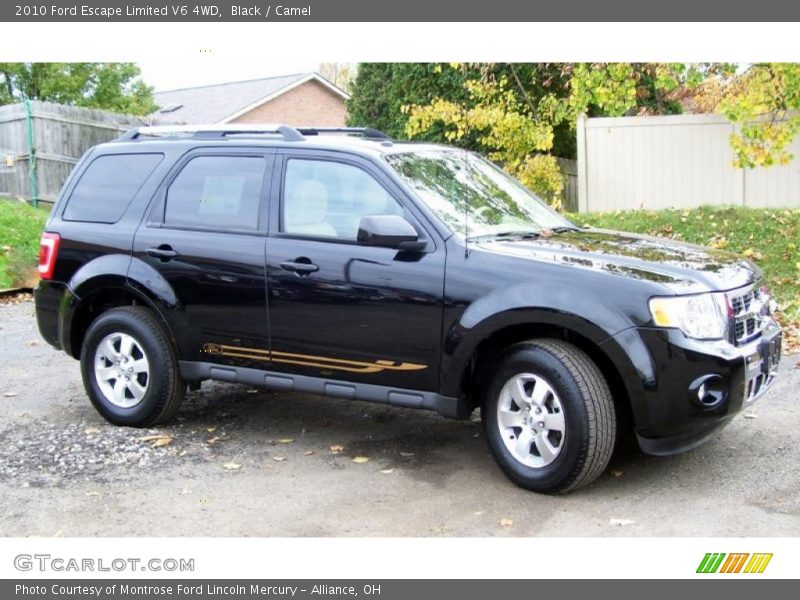 Black / Camel 2010 Ford Escape Limited V6 4WD
