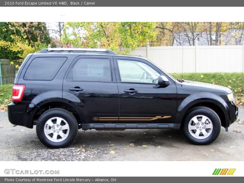 Black / Camel 2010 Ford Escape Limited V6 4WD