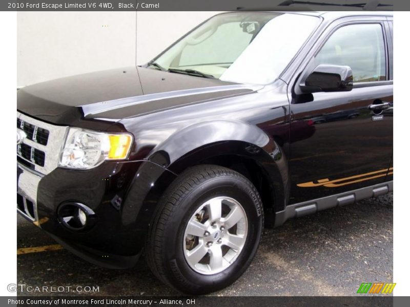 Black / Camel 2010 Ford Escape Limited V6 4WD