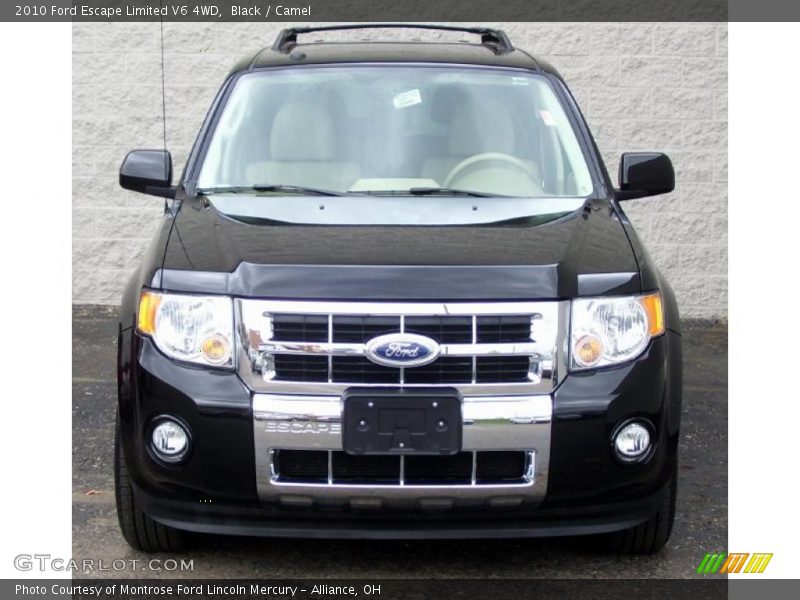 Black / Camel 2010 Ford Escape Limited V6 4WD