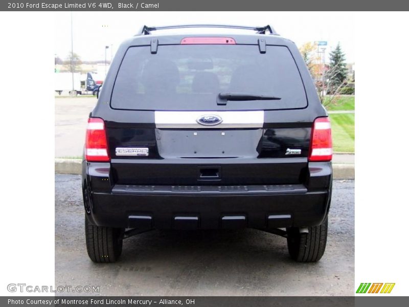 Black / Camel 2010 Ford Escape Limited V6 4WD