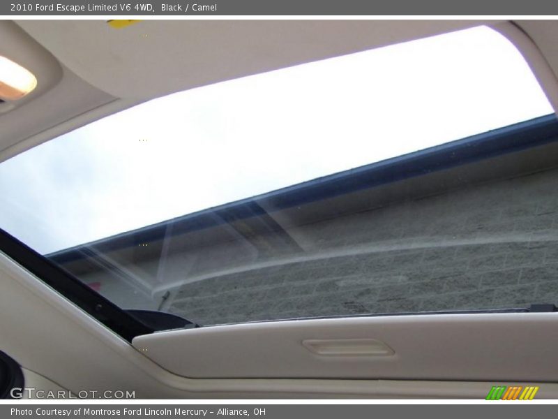 Black / Camel 2010 Ford Escape Limited V6 4WD