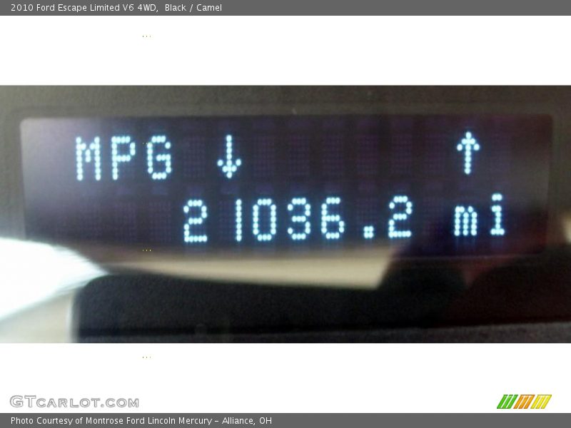 Black / Camel 2010 Ford Escape Limited V6 4WD