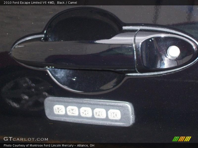Black / Camel 2010 Ford Escape Limited V6 4WD