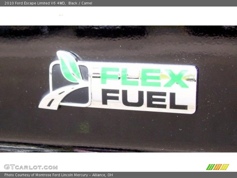 Black / Camel 2010 Ford Escape Limited V6 4WD