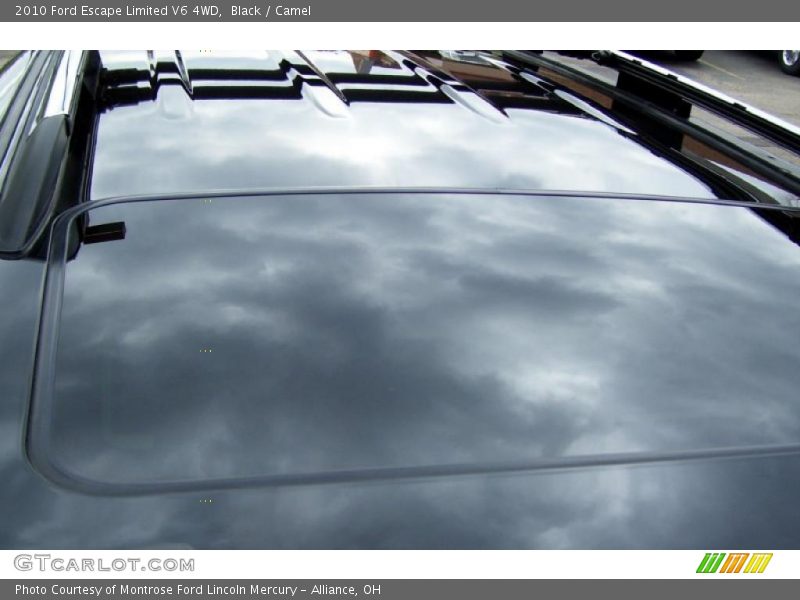 Black / Camel 2010 Ford Escape Limited V6 4WD