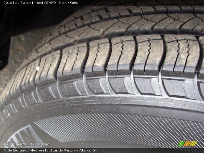Black / Camel 2010 Ford Escape Limited V6 4WD