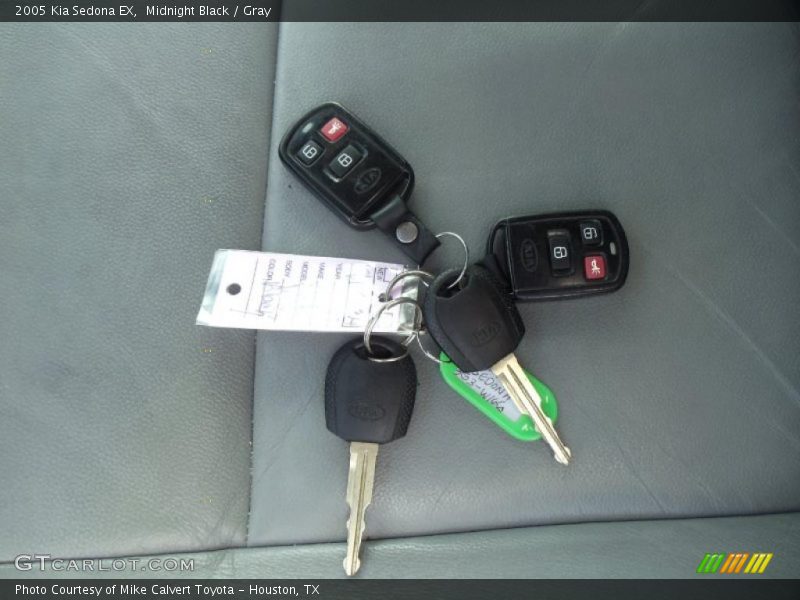 Midnight Black / Gray 2005 Kia Sedona EX