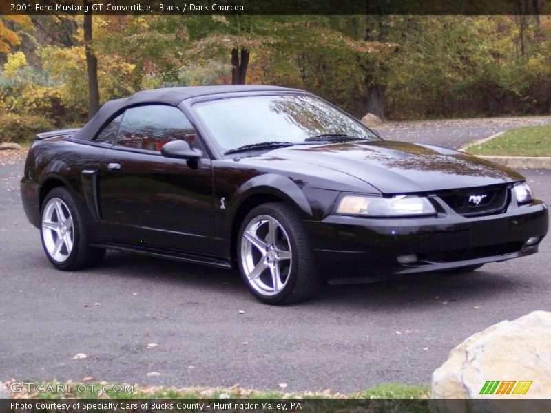 Black / Dark Charcoal 2001 Ford Mustang GT Convertible