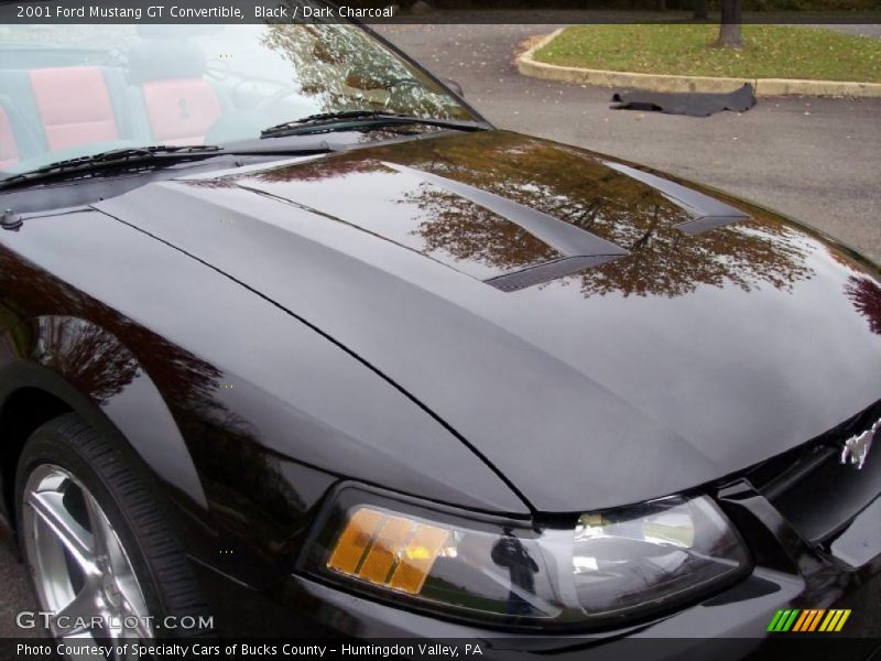 Black / Dark Charcoal 2001 Ford Mustang GT Convertible