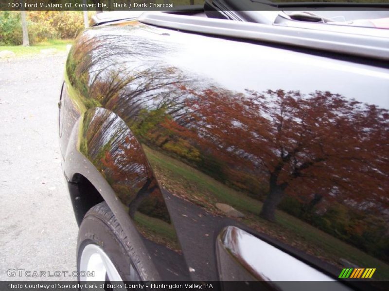 Black / Dark Charcoal 2001 Ford Mustang GT Convertible