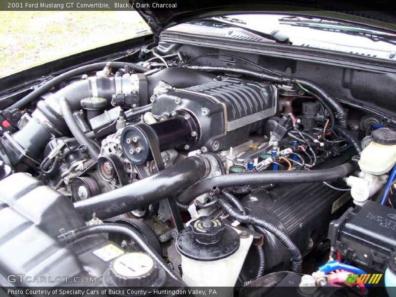  2001 Mustang GT Convertible Engine - 4.6 Liter Supercharged SOHC 16-Valve V8