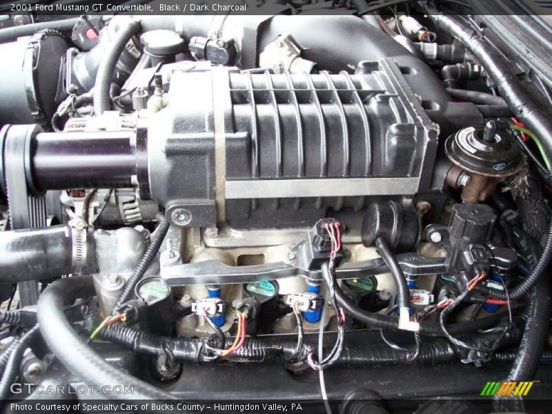  2001 Mustang GT Convertible Engine - 4.6 Liter Supercharged SOHC 16-Valve V8