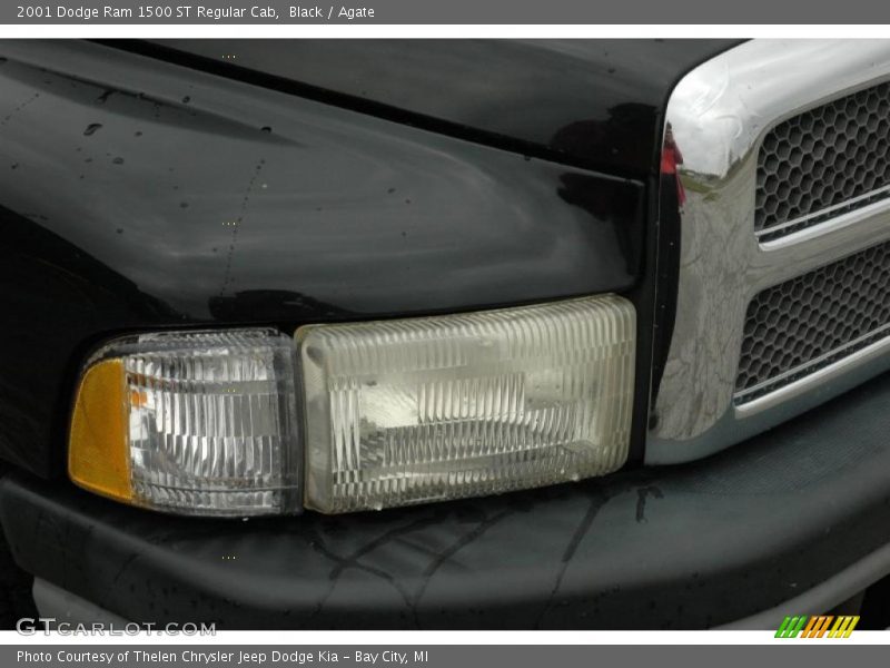 Black / Agate 2001 Dodge Ram 1500 ST Regular Cab