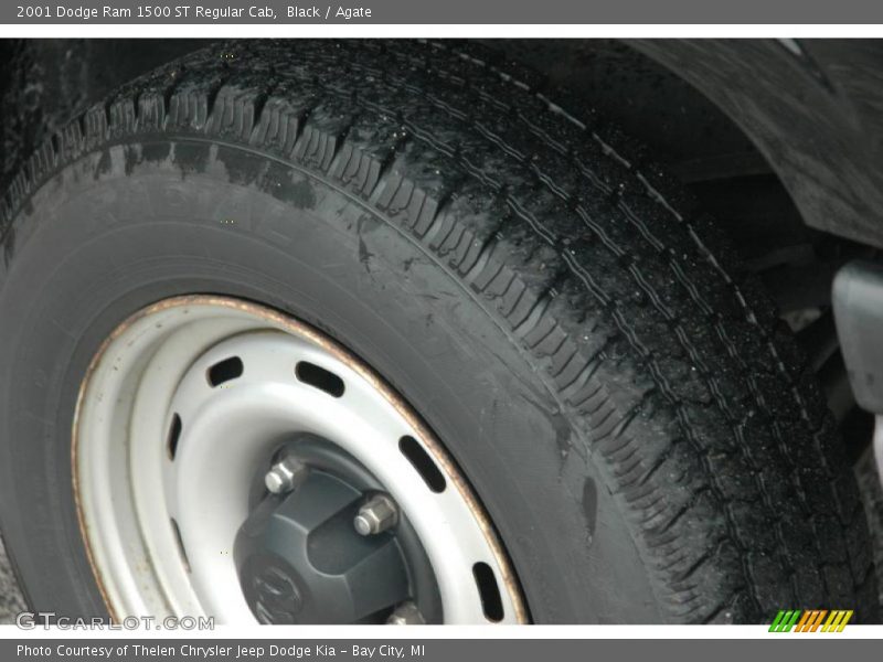 Black / Agate 2001 Dodge Ram 1500 ST Regular Cab