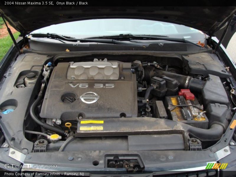 Onyx Black / Black 2004 Nissan Maxima 3.5 SE