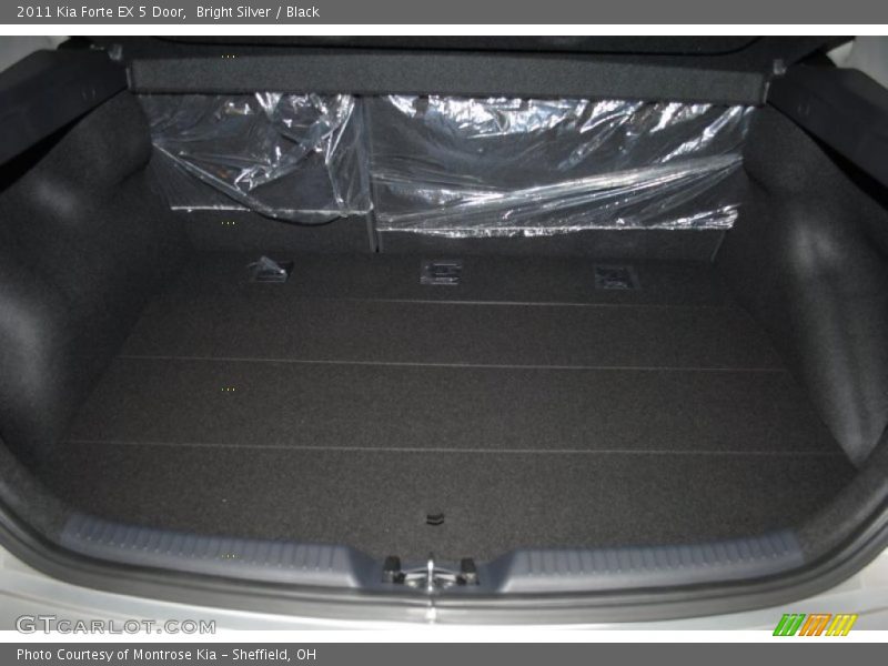 Bright Silver / Black 2011 Kia Forte EX 5 Door