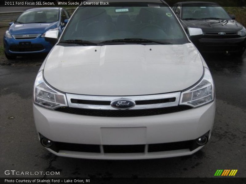 White Suede / Charcoal Black 2011 Ford Focus SEL Sedan
