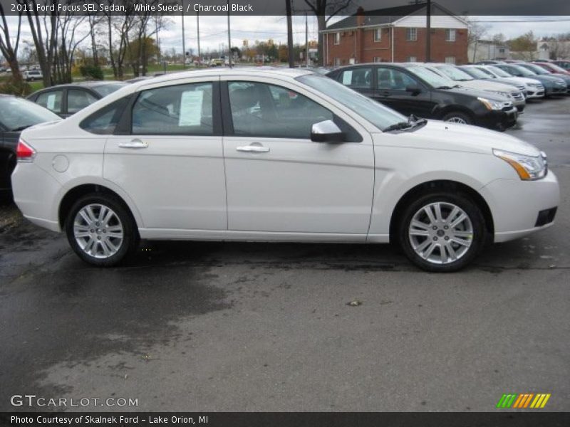 White Suede / Charcoal Black 2011 Ford Focus SEL Sedan