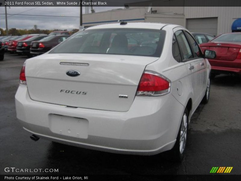 White Suede / Charcoal Black 2011 Ford Focus SEL Sedan