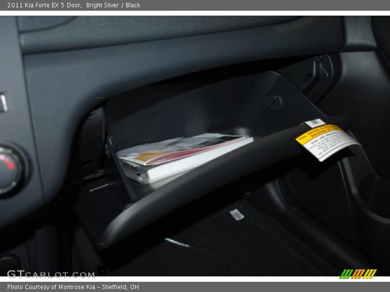 Bright Silver / Black 2011 Kia Forte EX 5 Door