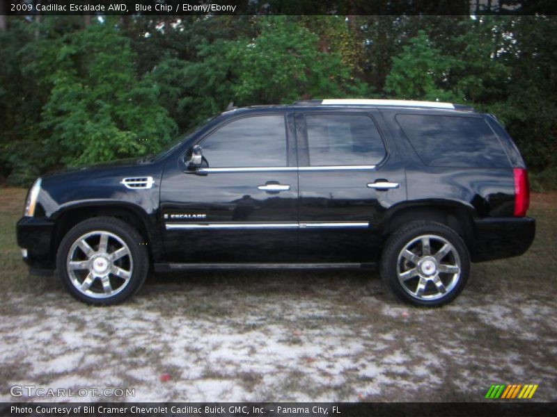 Blue Chip / Ebony/Ebony 2009 Cadillac Escalade AWD