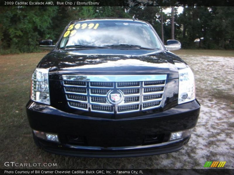 Blue Chip / Ebony/Ebony 2009 Cadillac Escalade AWD