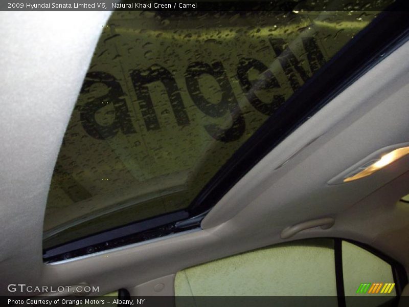 Natural Khaki Green / Camel 2009 Hyundai Sonata Limited V6