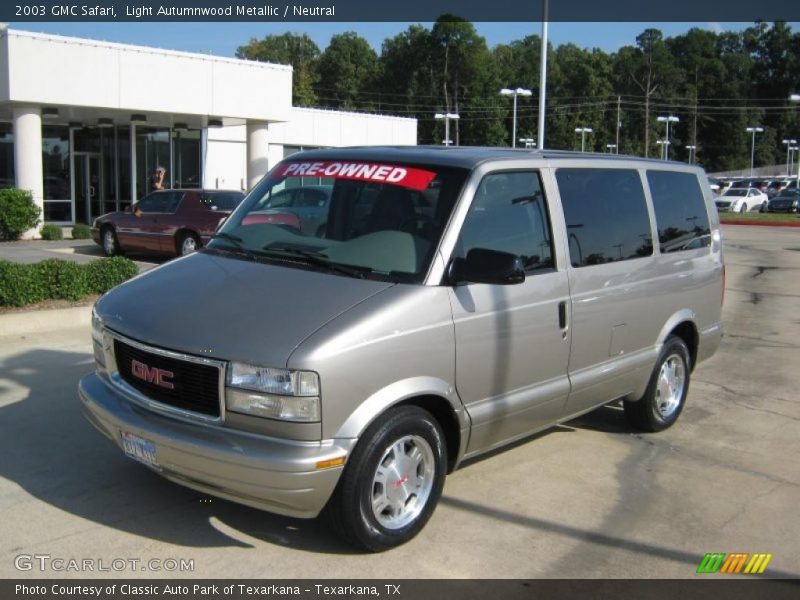 Light Autumnwood Metallic / Neutral 2003 GMC Safari