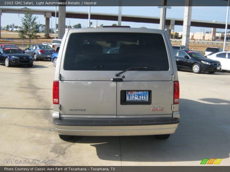 Light Autumnwood Metallic / Neutral 2003 GMC Safari